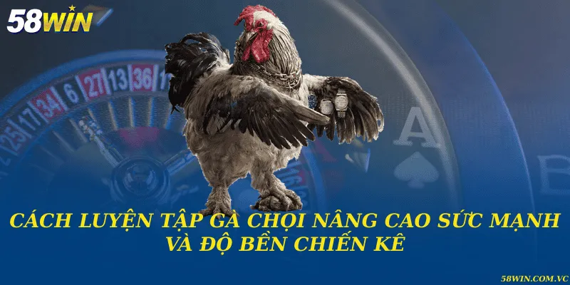 Cách Luyện Tập Gà Chọi – Bí Quyết Giữ Phong Độ Chiến Kê Cách luyện tập gà chọi nâng cao sức mạnh và độ bền chiến kê