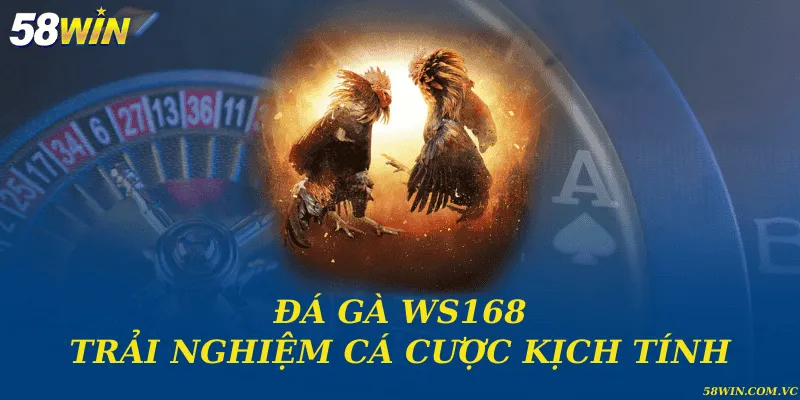 Đá Gà WS168 – Trường Gà Uy Tín Hàng Đầu Khu Vực Đá gà WS168 và trải nghiệm cá cược kịch tính