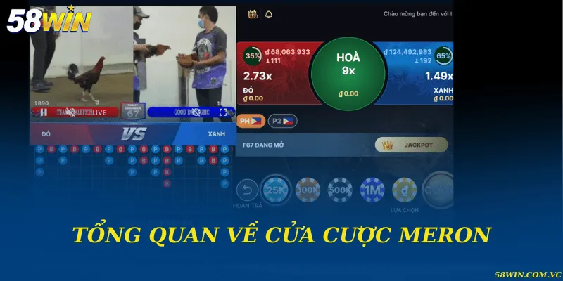 Tổng quan về cửa cược Meron