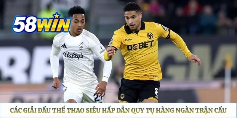 Các giải đấu thể thao siêu hấp dẫn quy tụ hàng ngàn trận cầu