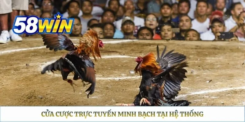 Cửa cược trực tuyến minh bạch tại hệ thống