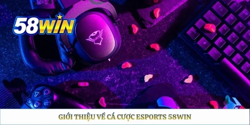 Giới thiệu về cá cược eSports 58WIN