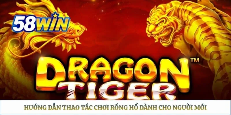 Rồng Hổ 58WIN - Luật Chơi, Cách Tính Điểm Và Trình Tự Ván Hướng dẫn thao tác chơi rồng hổ dành cho người mới