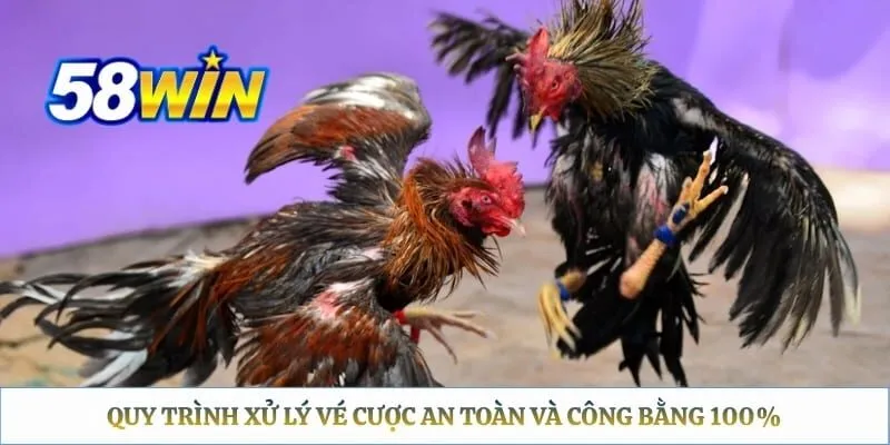 Quy trình xử lý vé cược an toàn và công bằng 100%
