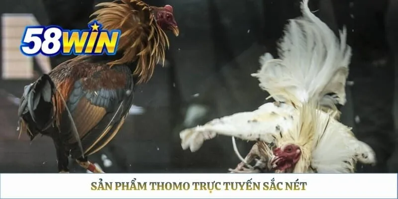 Sản phẩm Thomo trực tuyến sắc nét