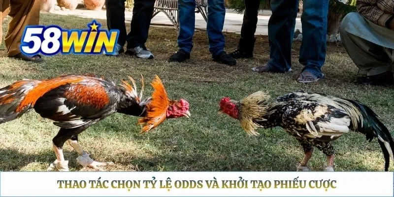 Thao tác chọn tỷ lệ Odds và khởi tạo phiếu cược